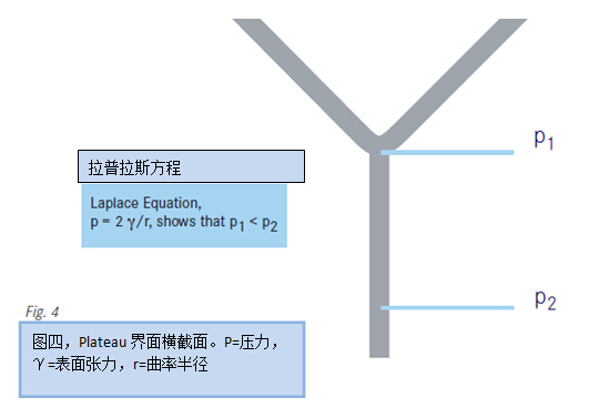 圖四，Plateau界面橫截面